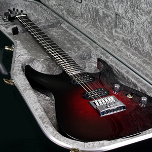 Taisto Guitars - V25-ET