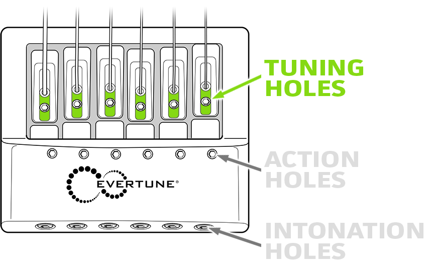 Tuning Holes • EverTune bridge