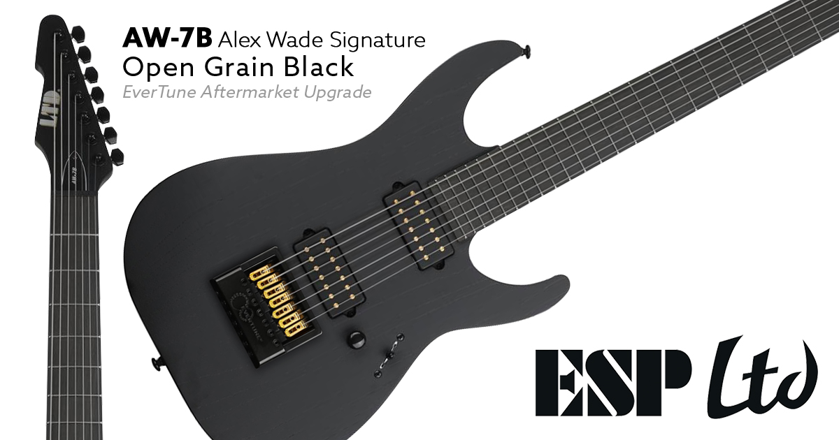 Alex wade store signature guitar
