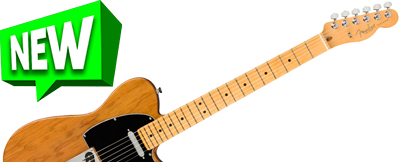 Fender American Professional II Telecaster • Roasted Pine w/ Maple  • EverTune AfterMarket Upgrade