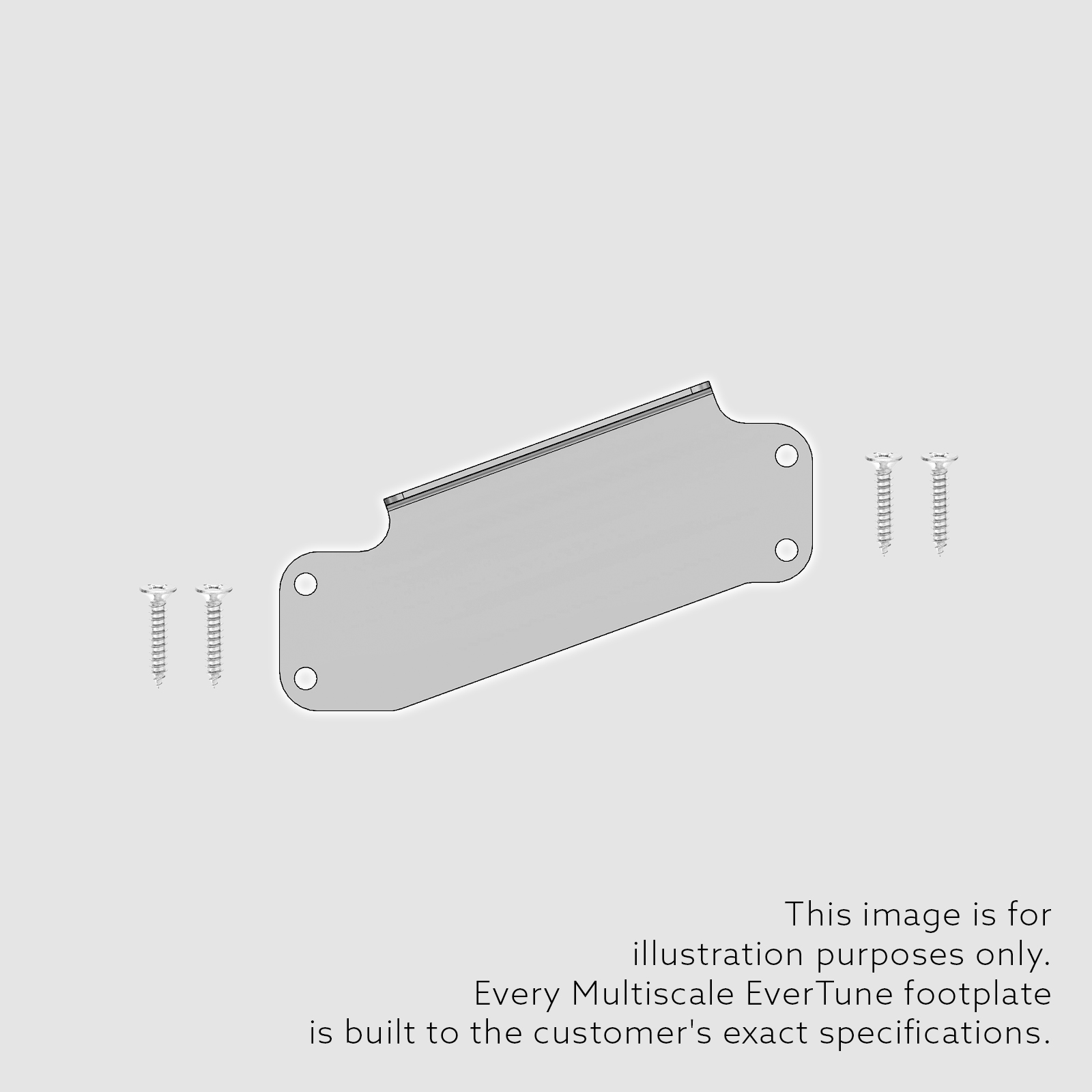 Foot Plate and Foot Plate Screws