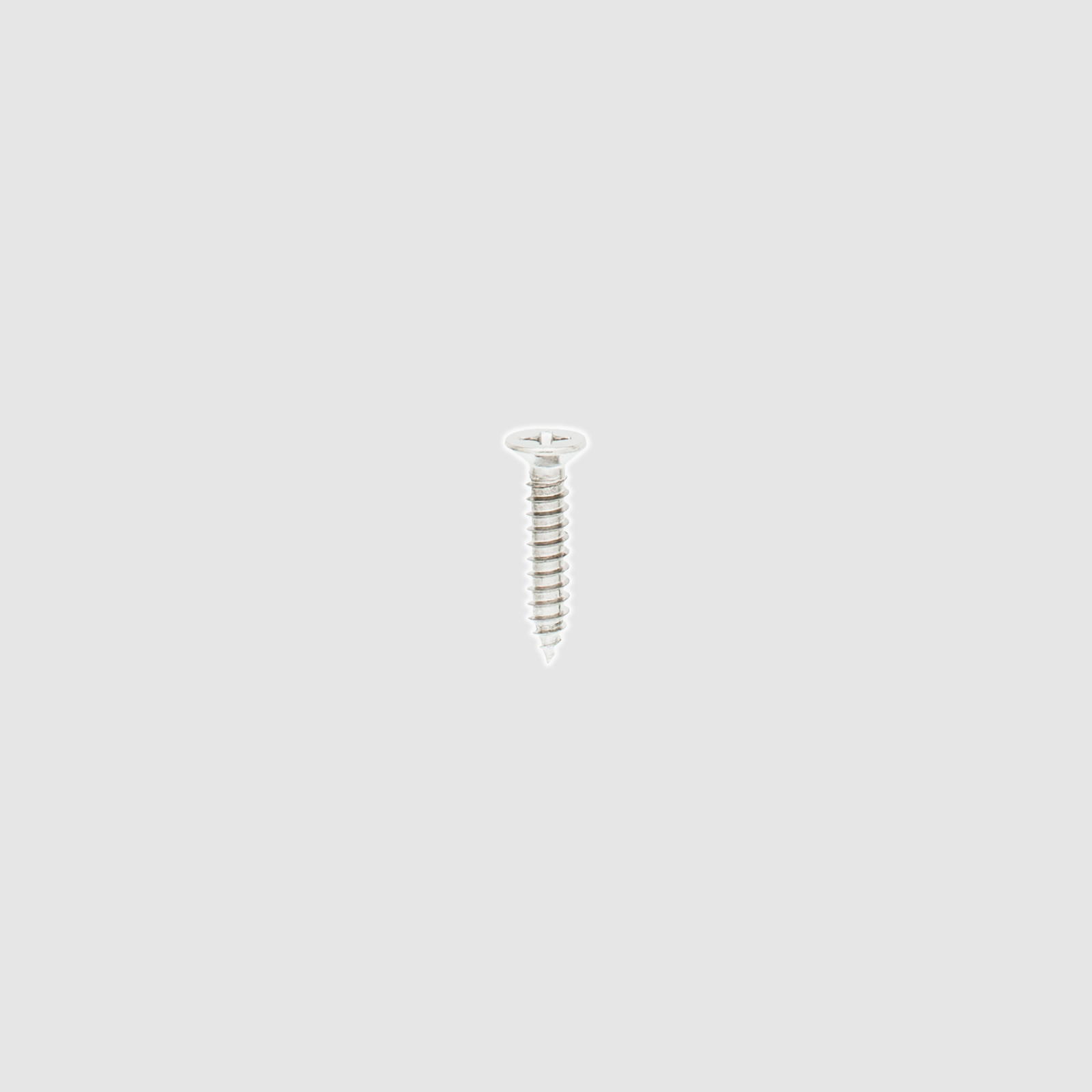 Foot Plate Screw (Silver)